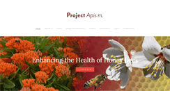 Desktop Screenshot of projectapism.org